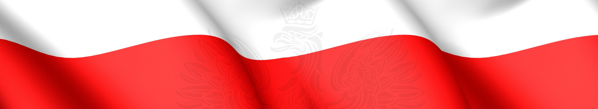 Biuletyn Informacji Publicznej Centrum Administracyjnego Placówek Opiekuńczo-Wychowawczych